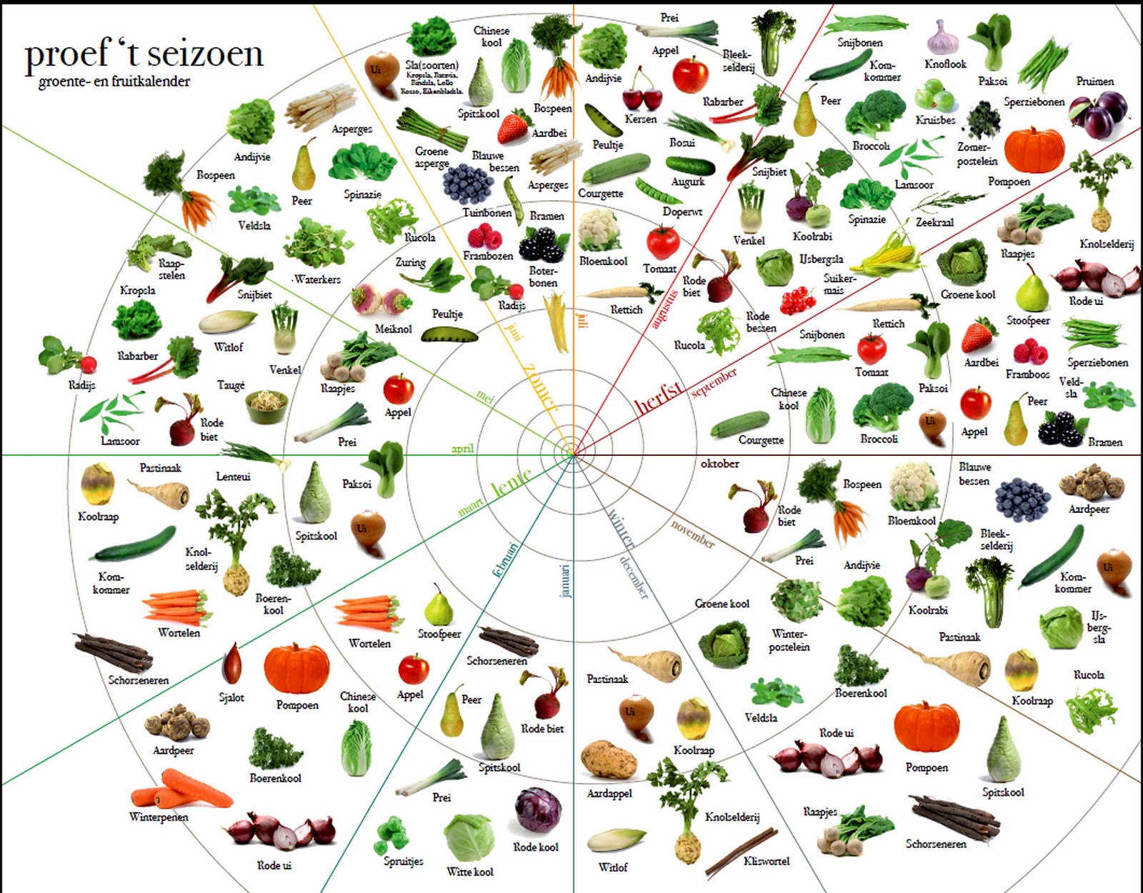 groente en fruitkalender seizoensgroente